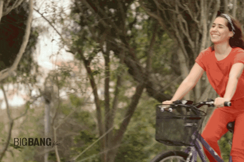 happy chicken GIF by BigBangFilms