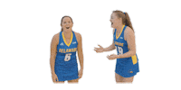 field hockey lol Sticker by Delaware Blue Hens