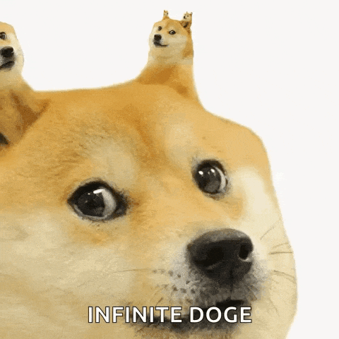 Doge GIF
