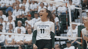 csurams csurams proudtobe GIF