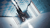 cr-v GIF by Cuco