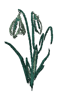 Fruhling Sticker by Hauptstadtgarten