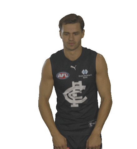 Carlton Fc Yes Sticker by Carlton Football Club