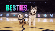Happy Best Friends GIF by Butler University