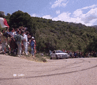 Ralli GIF by FIA World Rally Championship
