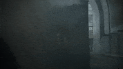season 5 fox GIF by Gotham