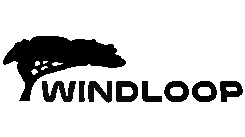 Windloop giphyupload kite kitesurf windloop Sticker