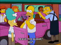 homer simpson GIF