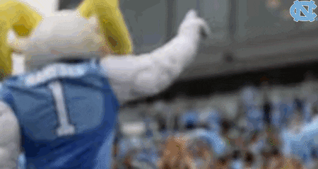 carolina football celebration GIF by UNC Tar Heels