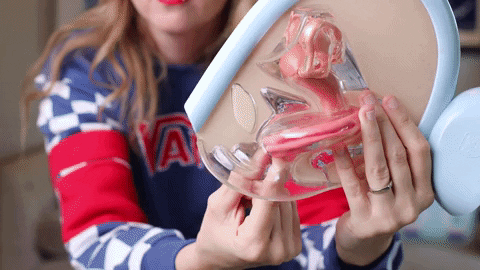 Menstrual Cup GIF by Period Nirvana