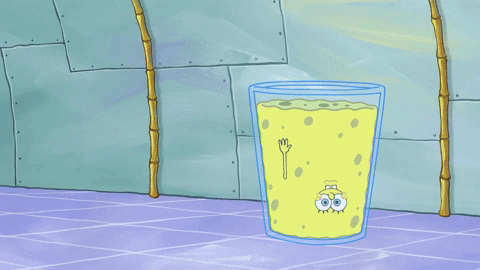 season 9 episode 3 GIF by SpongeBob SquarePants