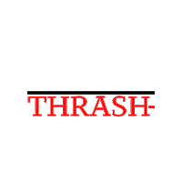 Thrash_N_Raid  Sticker