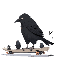 Kids Skateboard Sticker