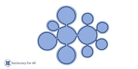 SociocracyForAll giphyupload metamorphosis sociocracy circle structure GIF