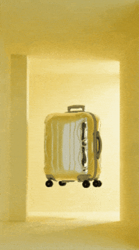 Travel Trip GIF