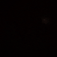 Cat Marching GIF by sillynub