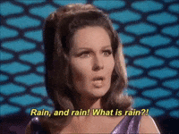 rainy day rain GIF by The Belmont Goats