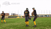 north dakota state dancing GIF by NDSU Athletics