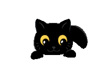 Gato Preto Sticker by Formato Comunicação