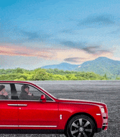 Ride Along Squad GIF