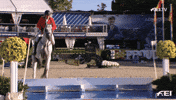 Sport Jump Over GIF by FEI Global