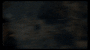 Fashion Water GIF by Aries