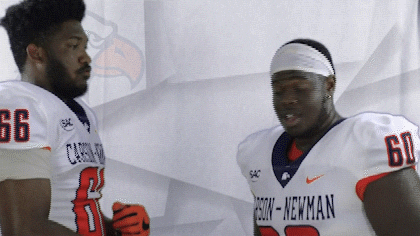 Carson Newman Football GIF by Carson-Newman Athletics