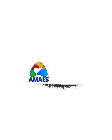 Amaesnamidia Sticker by Amaes