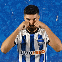 Bundesliga Ball GIF by Hertha BSC