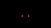 League Of Legends Lol GIF by Fnatic