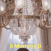 Harry Shelly GIF by The Viral Fever