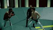 sport mma GIF by Karate Combat