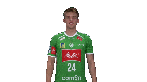 Handball Gwdminden Sticker by GWD Minden Handball-Bundesliga GmbH & Co.KG
