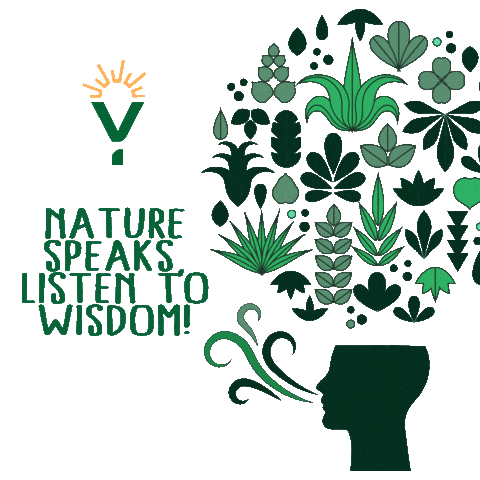 Activism Rays Sticker by RAINFOREST YOUTH SUMMIT