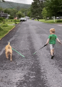 GIF by Martin