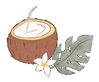 Summer Coconut Sticker