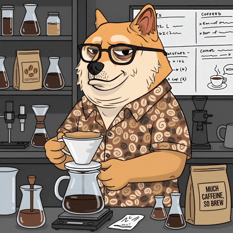 Shiba Inu Wow GIF by Doge Pound