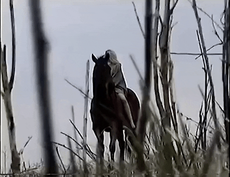 Home Movies GIF by somegirlnamedanna