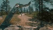 off road madness GIF by Top Gear