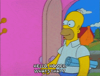 Season 1 GIF by The Simpsons