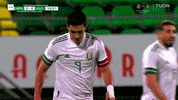 Futbol Mexicano Football GIF by MiSelecciónMX