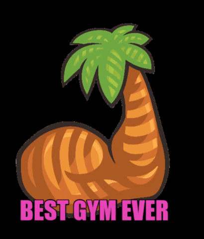 miamistrong giphygifmaker miami wethebest bestgymever GIF