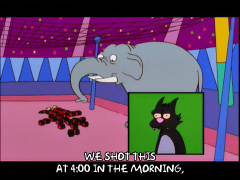 episode 11 GIF