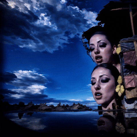 Bg Network GIF by Aleksey Efremov