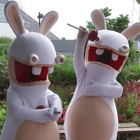 rabbids GIF by Futuroscope