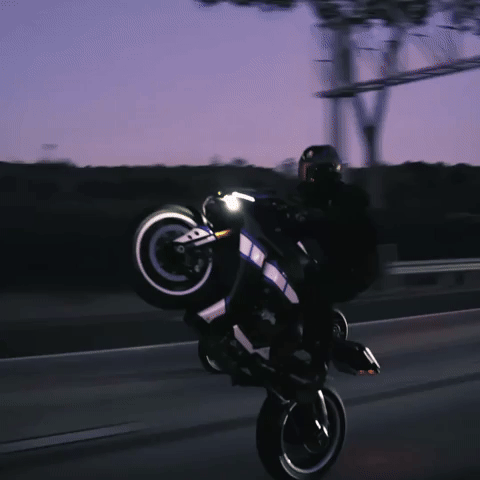 Interspacemonkey wheelie roadrunner interspacemonkey yamahar1 GIF