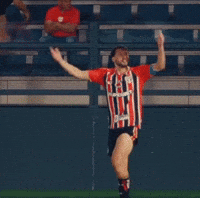 Sao Paulo GIF