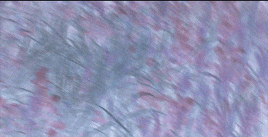 uniondocs documentary uniondocs GIF