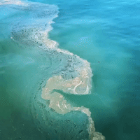 Health Advisory Issued as Oil Spill Forces Closure of Orange County Beaches