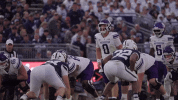 Hang Tight College Football GIF by Northwestern Athletics